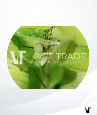 Fujifilm Gastroscope EG-760CT