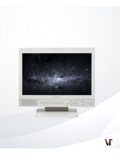 Sony Monitor LMD-1530MD 15 "
