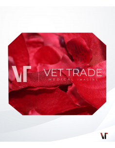 Pentax Colonoscope EC-3880FK2 2