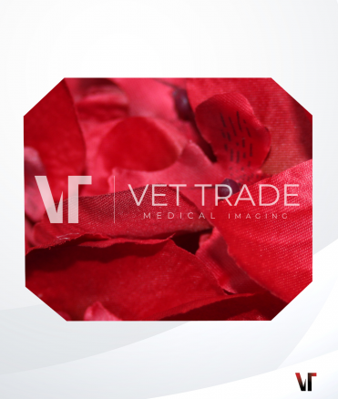 Pentax Colonoscope EC-3480MK