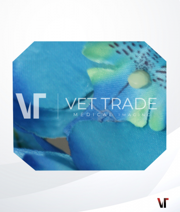 Olympus Colonoscope CF-1T100I