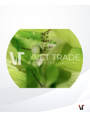 Fujifilm Colonoscope EC-250LS5